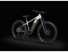 Rower elektryczny Ecobike Mauler 30Ah srebrno-czarny