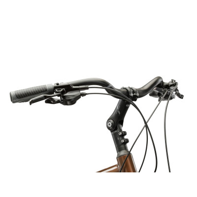 Rower Trekkingowy Kross Trans 5.0 męski brązowo-srebrny połysk 2025