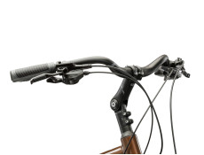 Rower Trekkingowy Kross Trans 5.0 męski brązowo-srebrny połysk 2025