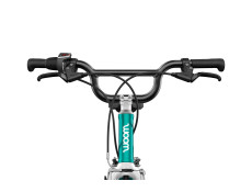 Rower woom 4 GO 20" metallic turquoise