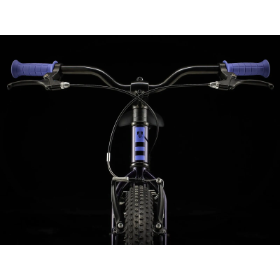 Rower Trek Precaliber 20" Freewheel purple abyss