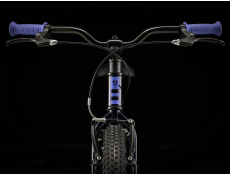 Rower Trek Precaliber 20" Freewheel purple abyss