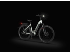 Rower elektryczny Ecobike LX 400 arctic silver