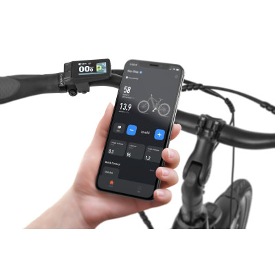 Rower elektryczny Ecobike LX 100 19" 17,5Ah czarny