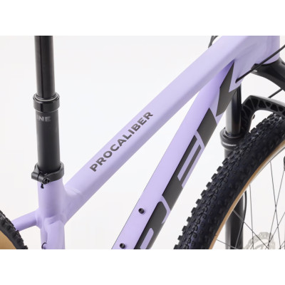 Rower Trek Procaliber 6 lavender haze 2026