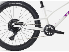 Rower Trek Wahoo 24 Trail crystal white 2026