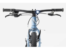 Rower Trek Wahoo 24 Path fjord blue 2026