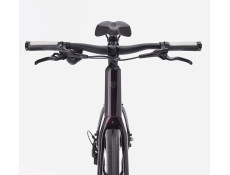 Rower Trek FX 3 z wysokim przekrokiem Gen 4 dark carmine 2026