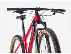 Rower Trek Procaliber 8 fury red 2026