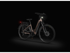 Rower elektryczny Ecobike LX 300 ONYX 25AH 900Wh