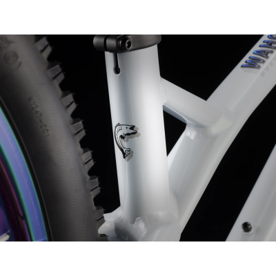 Rower Trek Wahoo 24" Trail plasma grey pearl