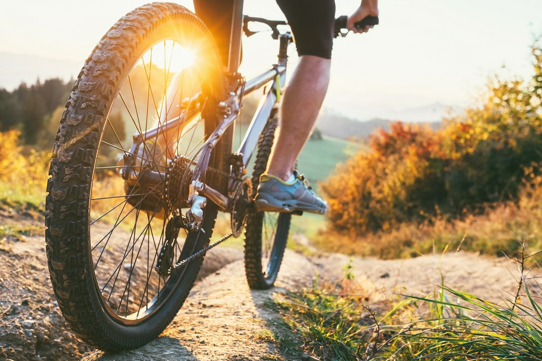 Jak wybrać rozmiar roweru Trek Marlin – tabele i praktyczny poradnik